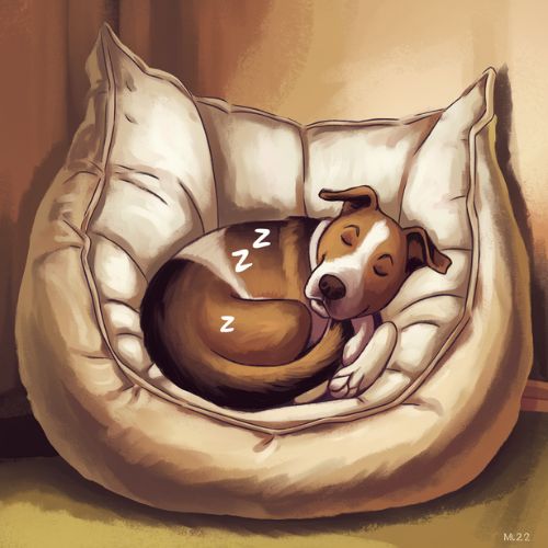 Dog nestled in a plush, comfortable bed